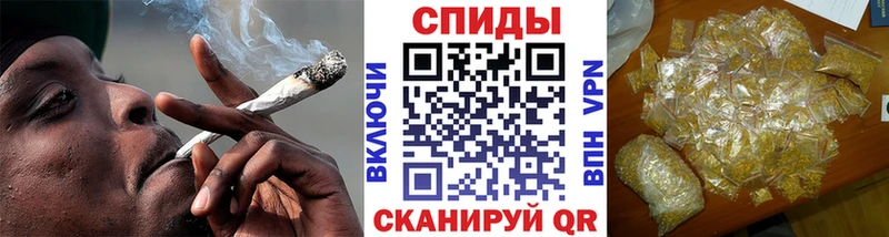 мориарти формула  Юрга  Бутират BDO 33% 