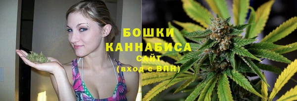 крисы Надым