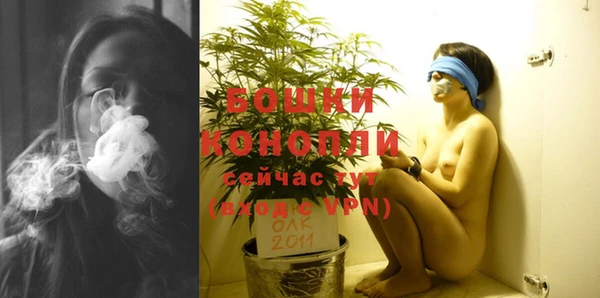 крисы Надым