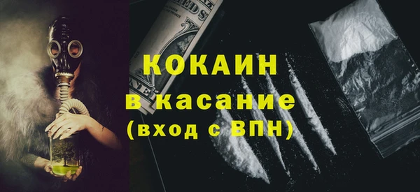 крисы Надым
