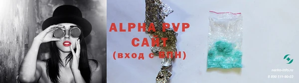 крисы Надым
