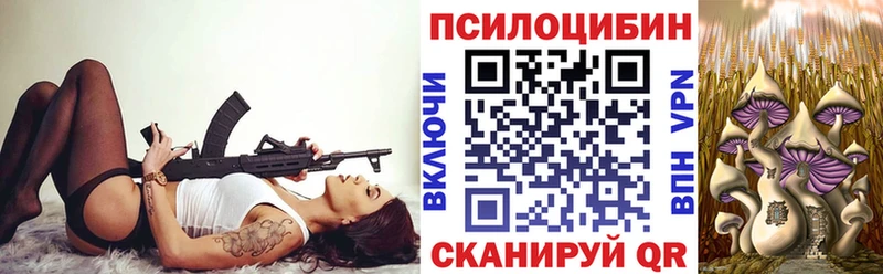 ссылка на мегу маркетплейс  Юрга  Псилоцибиновые грибы Cubensis 