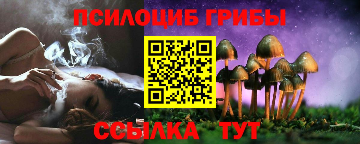 Галлюциногенные грибы GOLDEN TEACHER  Вход с VPN  Юрга 