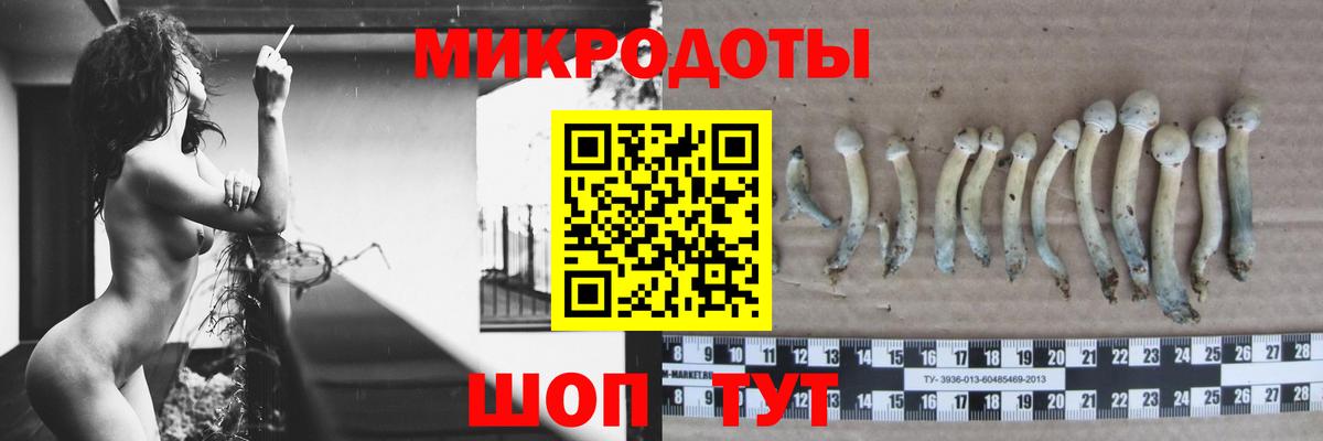 Галлюциногенные грибы Magic Shrooms Юрга