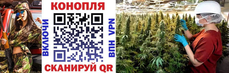 blacksprut ONION  Юрга  Канабис планчик  сколько стоит 